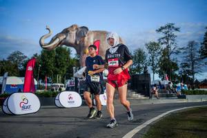 BIB: 
                            <button type="button" onclick="openModal(26541981)" class="btn btn-primary btn-sm float-right btn-popup" data-toggle="modal" data-target=".modal-high-quality">
                        <i class="fas fa-shopping-cart"></i> Add to Cart
                    </button>
                                            <button type="button" onclick="isThisMe(26541981, true)" class="btn btn-success btn-sm float-right btn-popup btn-isme hidden" data-toggle="tooltip" data-placement="bottom" title="นี่คือรูปของคุณใช่ไหม คลิกที่นี่เพื่อเอาเข้าอัลบั้ม">
                        <i class="fas fa-plus"></i> Add to album
                    </button>
                    <button type="button" onclick="isThisMe(26541981, false)" class="btn btn-warning btn-sm float-right btn-popup btn-isnotme hidden">
                        <i class="fas fa-ban"></i> Remove from album
                    </button>